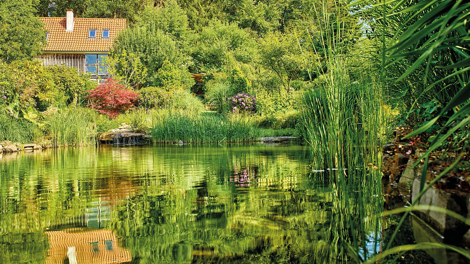 SteinOase Garten.Teich.Tier SteinOase garten.teich.tier
