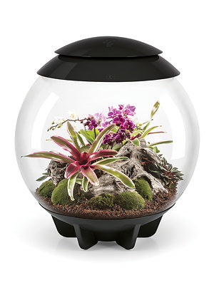 biOrb AIR 30 grau Terrarium