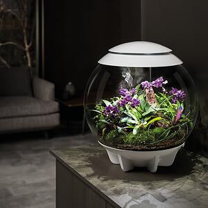 biOrb AIR 30 grau Terrarium