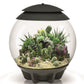 biOrb AIR 30 grau Terrarium